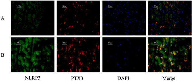https://cdn.ncbi.nlm.nih.gov/pmc/blobs/050e/12060373/07e5b56d3d94/12872_2025_4790_Fig1_HTML.jpg