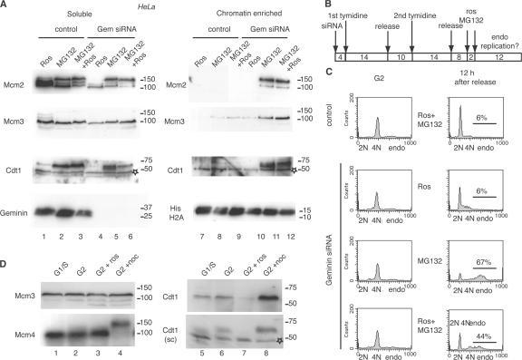 https://cdn.ncbi.nlm.nih.gov/pmc/blobs/0513/2064445/a007c3ebd622/jcb1780257f07.jpg
