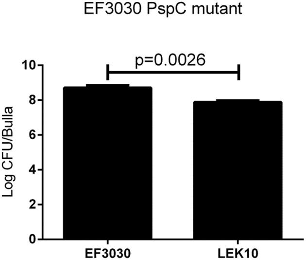 https://cdn.ncbi.nlm.nih.gov/pmc/blobs/0513/4870244/54d9e5fce262/fcimb-06-00055-g0003.jpg