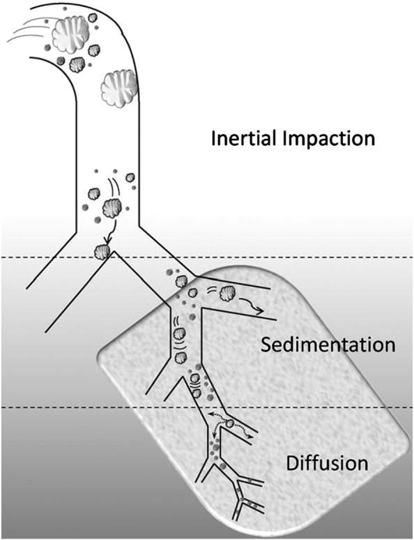https://cdn.ncbi.nlm.nih.gov/pmc/blobs/0513/7103277/17394d83b16d/gr2_lrg.jpg