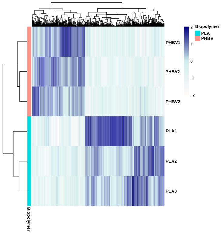 https://cdn.ncbi.nlm.nih.gov/pmc/blobs/0515/10304962/5b7a610f4599/microorganisms-11-01461-g007.jpg