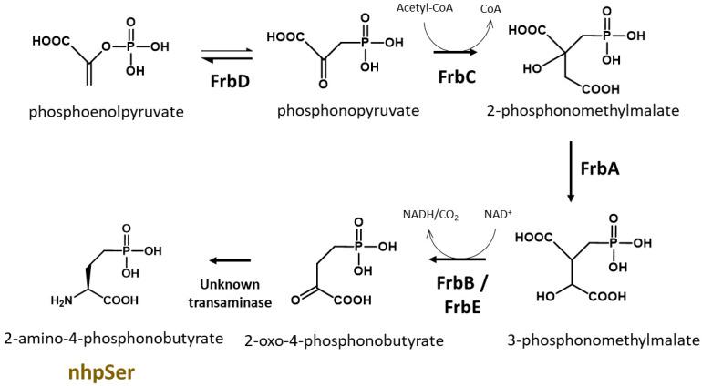 https://cdn.ncbi.nlm.nih.gov/pmc/blobs/0517/10632156/200a5d5aec5d/BioProtoc-13-21-4861-g002.jpg