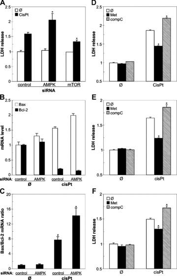 https://cdn.ncbi.nlm.nih.gov/pmc/blobs/0518/4516513/28e78933f80c/jcmm0013-3644-f5.jpg