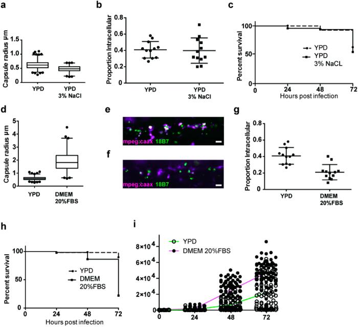 https://cdn.ncbi.nlm.nih.gov/pmc/blobs/0519/4757829/3c20be5e22d3/srep21489-f6.jpg