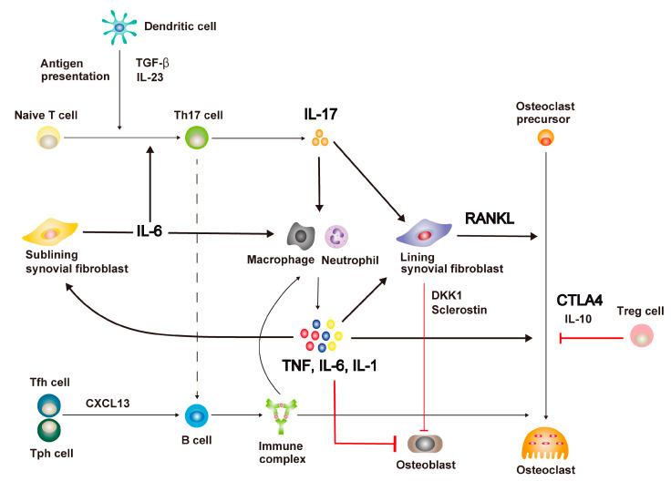 https://cdn.ncbi.nlm.nih.gov/pmc/blobs/051a/10049180/35cbb8f56921/ijms-24-05173-g001.jpg