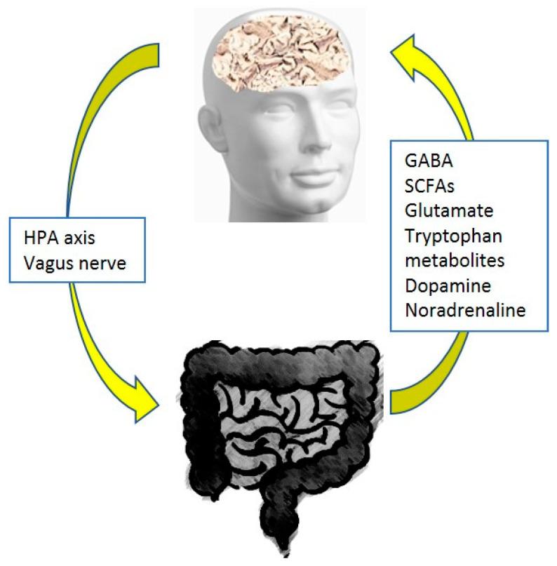 https://cdn.ncbi.nlm.nih.gov/pmc/blobs/051b/10745134/1ecd034eb465/jpm-13-01645-g001.jpg