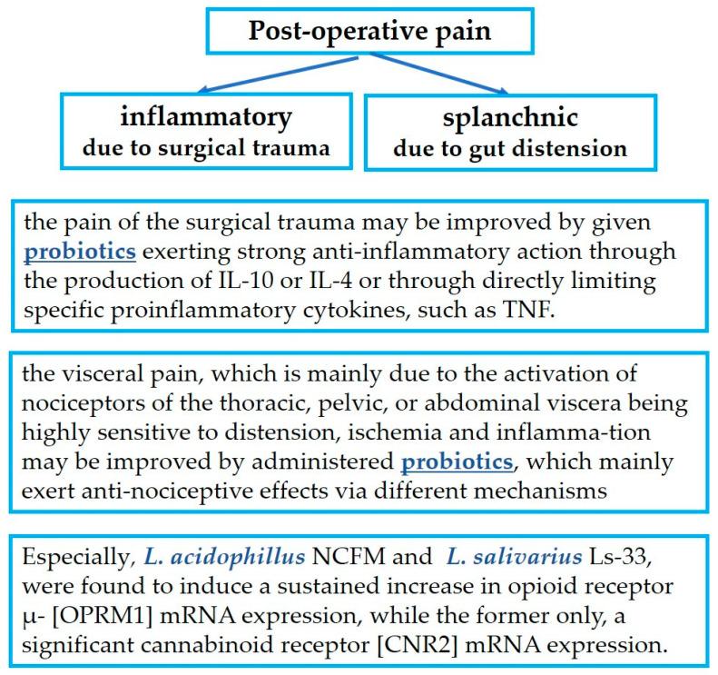 https://cdn.ncbi.nlm.nih.gov/pmc/blobs/051b/10745134/95c363ec5b59/jpm-13-01645-g003.jpg
