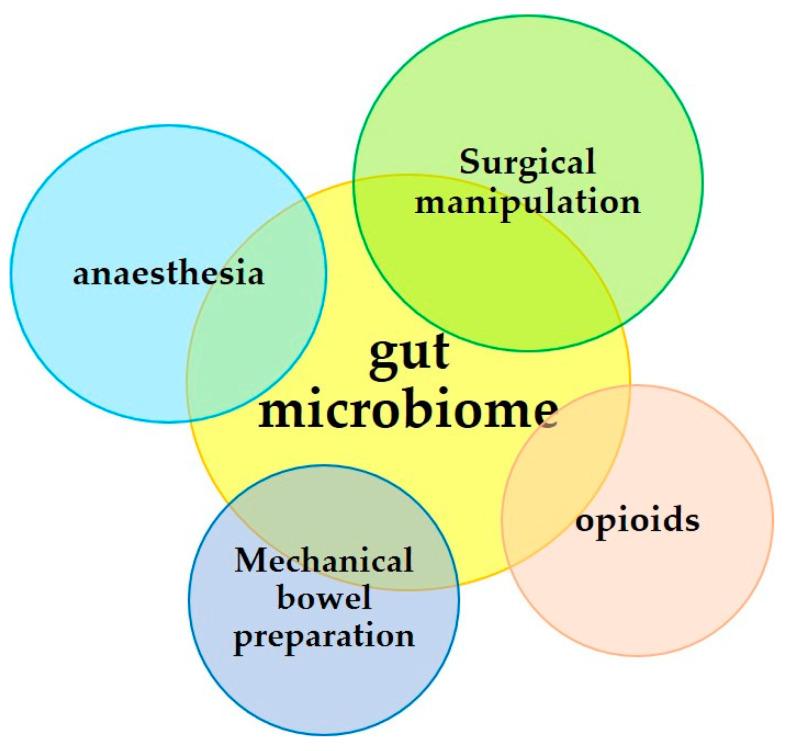 https://cdn.ncbi.nlm.nih.gov/pmc/blobs/051b/10745134/fa825a7f5332/jpm-13-01645-g002.jpg