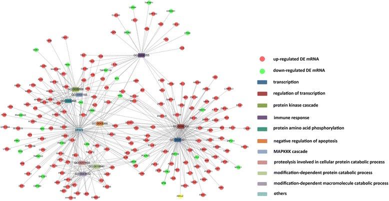 https://cdn.ncbi.nlm.nih.gov/pmc/blobs/051b/5034423/1c5afc52f878/12906_2016_1349_Fig1_HTML.jpg