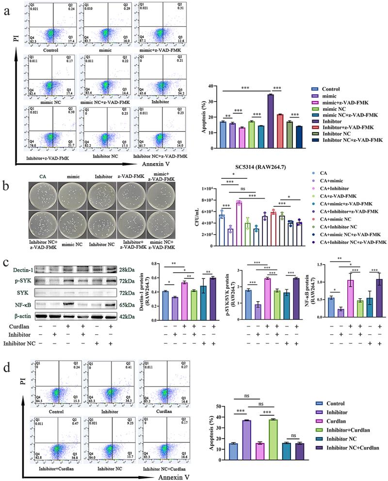 https://cdn.ncbi.nlm.nih.gov/pmc/blobs/051c/12147485/df8ce238c4e2/KVIR_A_2514789_F0006_OC.jpg