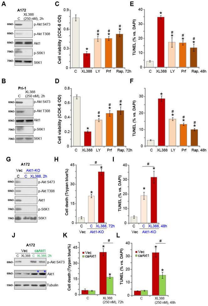 https://cdn.ncbi.nlm.nih.gov/pmc/blobs/051c/7746352/7f77d3938767/aging-12-103791-g003.jpg