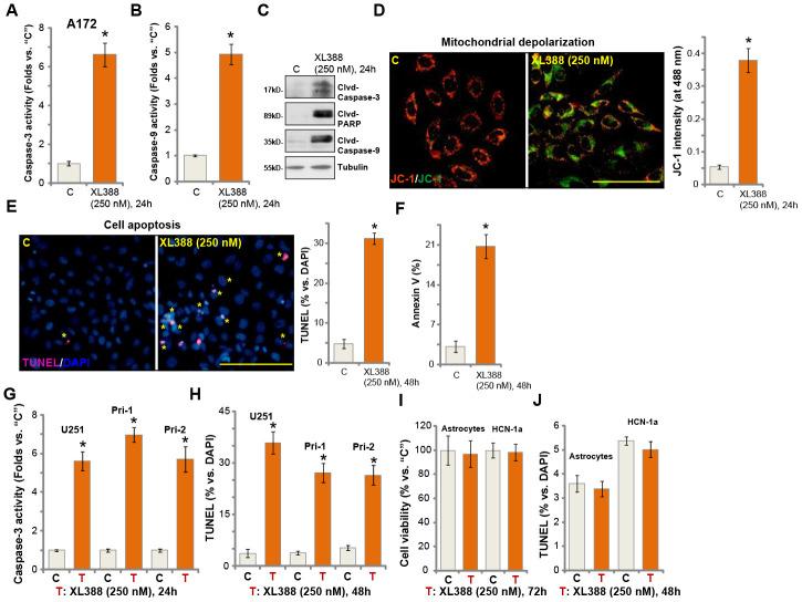 https://cdn.ncbi.nlm.nih.gov/pmc/blobs/051c/7746352/af212ed529b9/aging-12-103791-g002.jpg