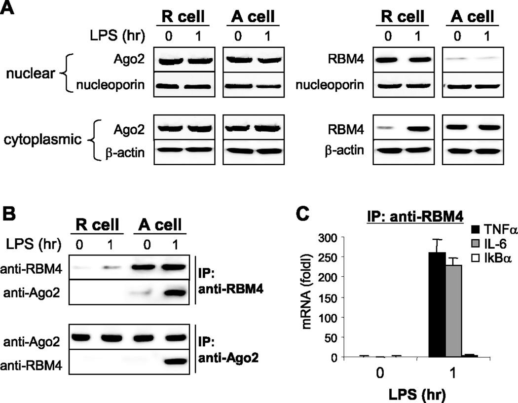 https://cdn.ncbi.nlm.nih.gov/pmc/blobs/051e/3770753/b1fff78cecef/nihms502952f2.jpg