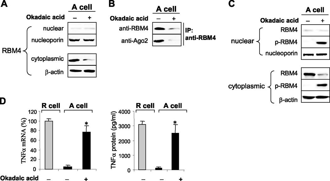 https://cdn.ncbi.nlm.nih.gov/pmc/blobs/051e/3770753/e909bb383059/nihms502952f3.jpg