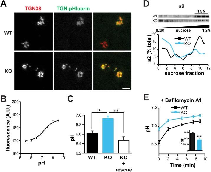 https://cdn.ncbi.nlm.nih.gov/pmc/blobs/051f/5739301/7ed8d41acb5a/3870fig5.jpg