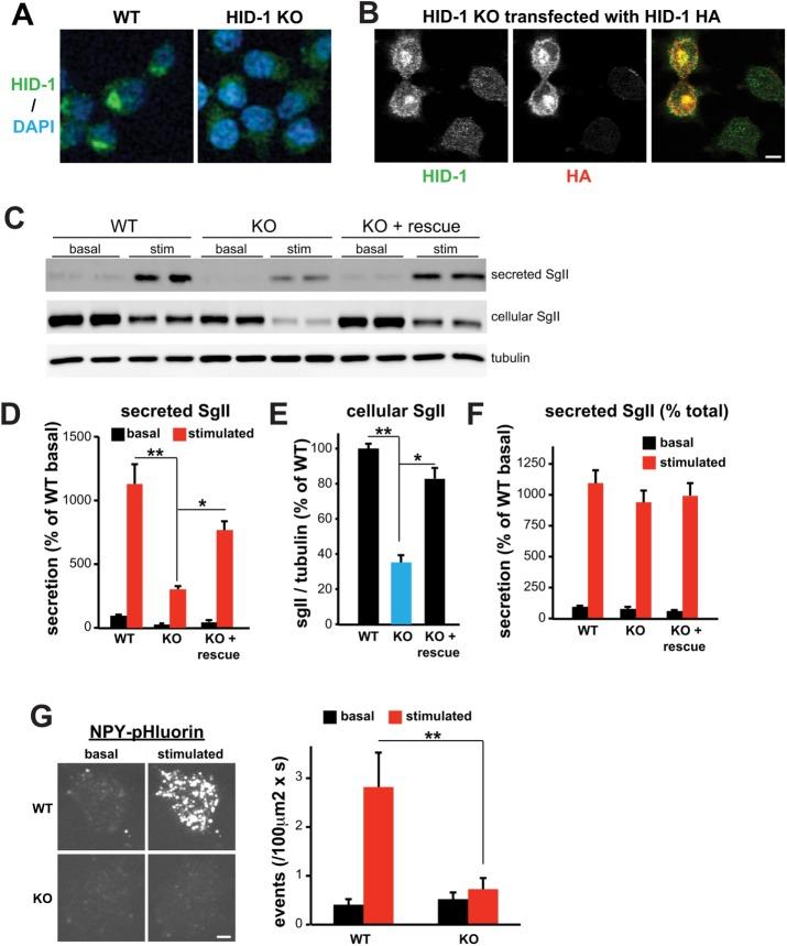 https://cdn.ncbi.nlm.nih.gov/pmc/blobs/051f/5739301/8ca0e3d0a5ee/3870fig1.jpg