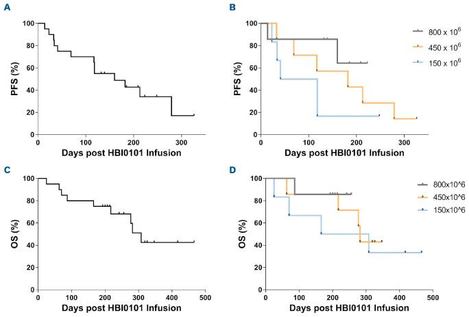https://cdn.ncbi.nlm.nih.gov/pmc/blobs/0520/10316256/06b140821484/1081827.fig2.jpg