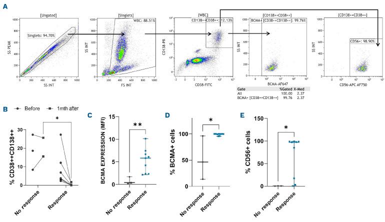 https://cdn.ncbi.nlm.nih.gov/pmc/blobs/0520/10316256/38f162d82a89/1081827.fig4.jpg