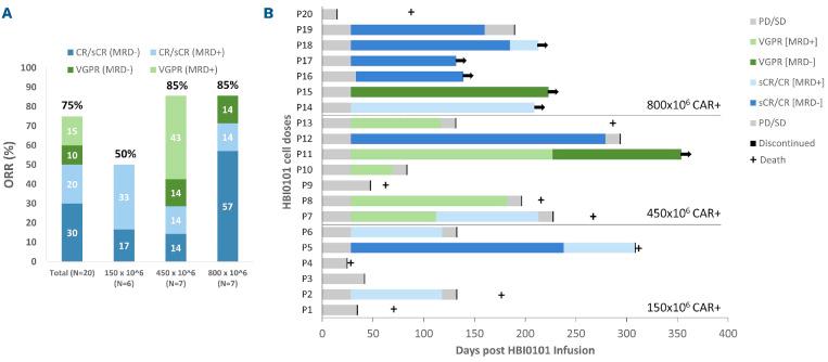 https://cdn.ncbi.nlm.nih.gov/pmc/blobs/0520/10316256/95ef99daaaed/1081827.fig1.jpg