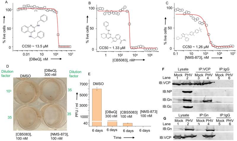 https://cdn.ncbi.nlm.nih.gov/pmc/blobs/0520/10798635/e9b00aa8ecc1/ppat.1011925.g011.jpg
