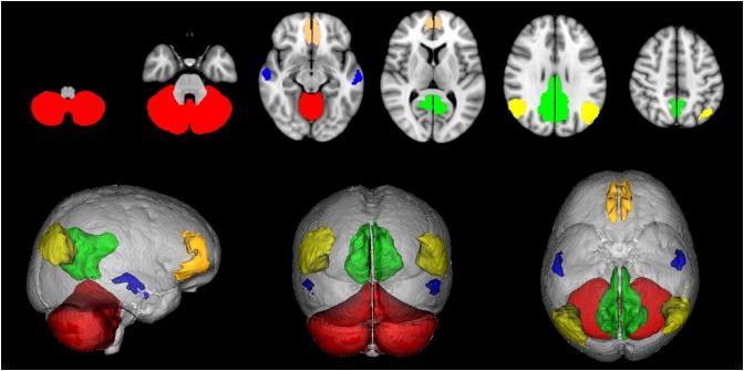 https://cdn.ncbi.nlm.nih.gov/pmc/blobs/0520/6396736/7b7d0139f4eb/fncel-13-00021-g001.jpg