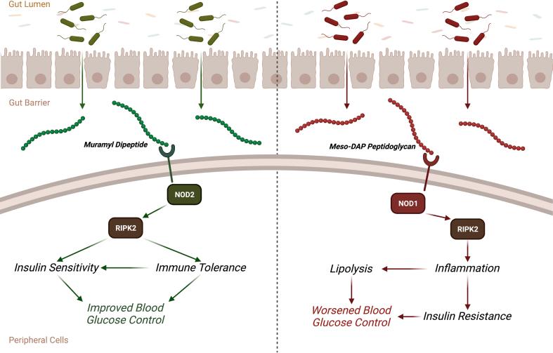 https://cdn.ncbi.nlm.nih.gov/pmc/blobs/0522/10505681/05ed9d7594b3/gr1.jpg