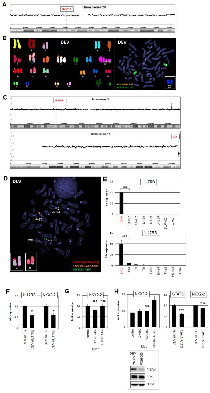 https://cdn.ncbi.nlm.nih.gov/pmc/blobs/0522/6331023/119129efb1ac/oncotarget-09-37480-g002.jpg