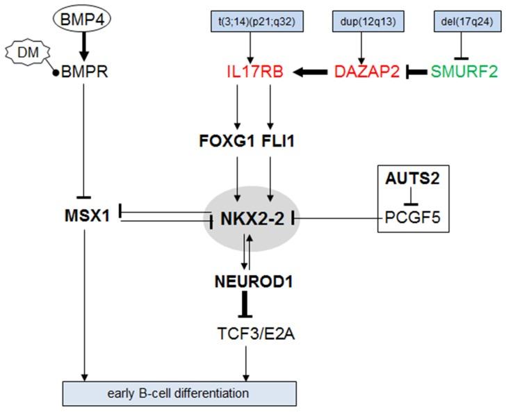 https://cdn.ncbi.nlm.nih.gov/pmc/blobs/0522/6331023/6a0e56c7e0d1/oncotarget-09-37480-g006.jpg