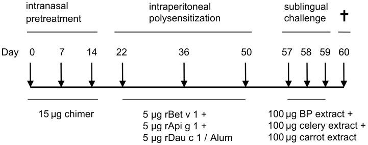 https://cdn.ncbi.nlm.nih.gov/pmc/blobs/0523/3387141/583bcda5728f/pone.0039409.g001.jpg
