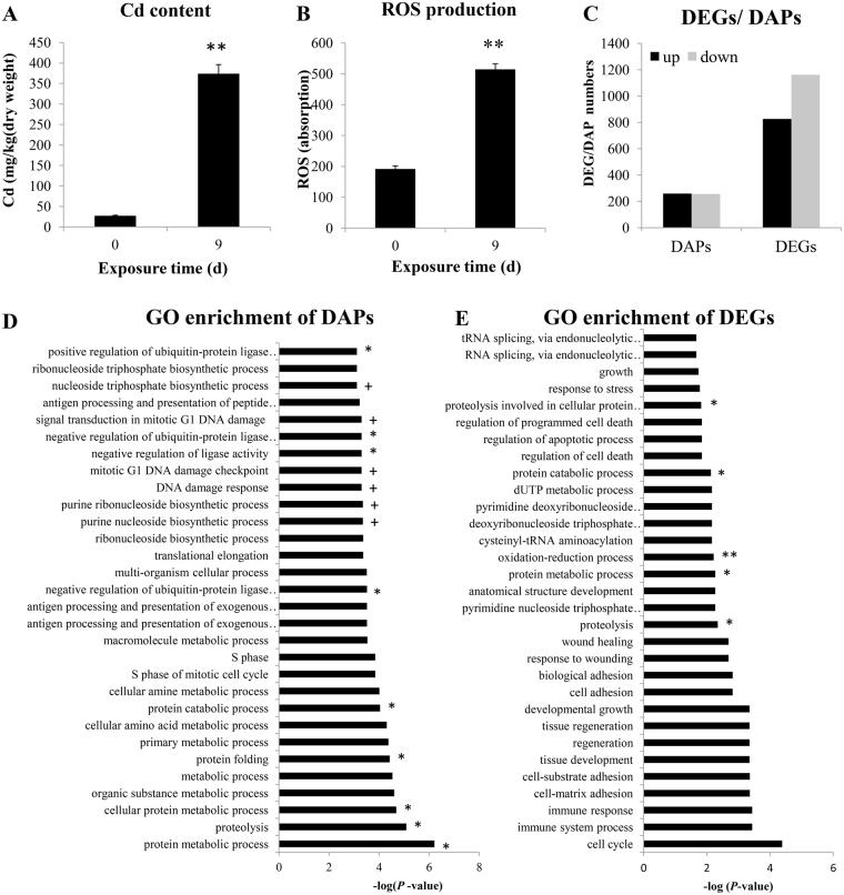 https://cdn.ncbi.nlm.nih.gov/pmc/blobs/0523/5601910/d4fbb078e5b7/41598_2017_11894_Fig1_HTML.jpg