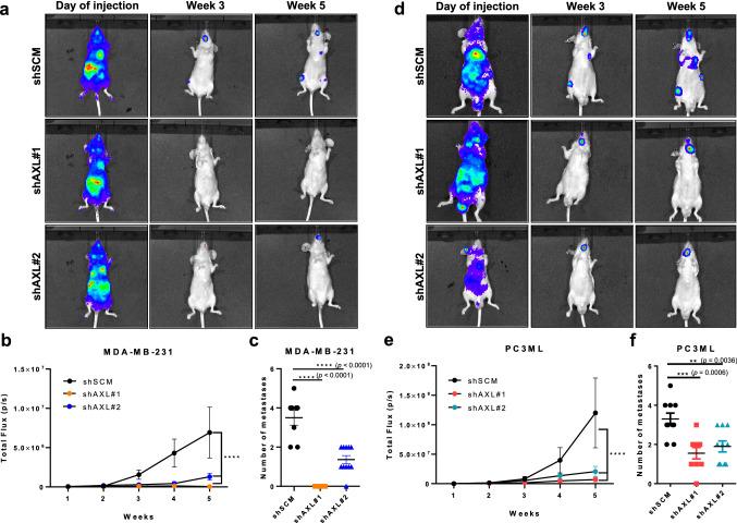 https://cdn.ncbi.nlm.nih.gov/pmc/blobs/0524/8179919/15bc734a139d/10585_2021_10093_Fig3_HTML.jpg