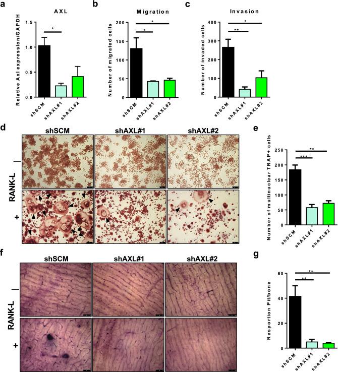 https://cdn.ncbi.nlm.nih.gov/pmc/blobs/0524/8179919/5e0f1cce37b9/10585_2021_10093_Fig5_HTML.jpg
