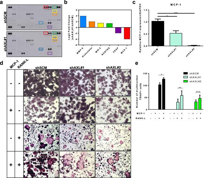 https://cdn.ncbi.nlm.nih.gov/pmc/blobs/0524/8179919/74d7141ad275/10585_2021_10093_Fig6_HTML.jpg