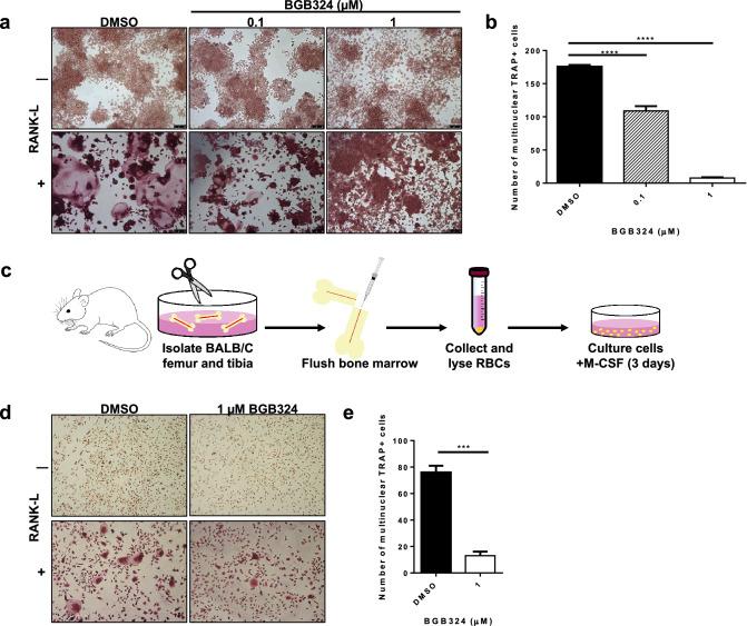 https://cdn.ncbi.nlm.nih.gov/pmc/blobs/0524/8179919/af8b84a81546/10585_2021_10093_Fig4_HTML.jpg