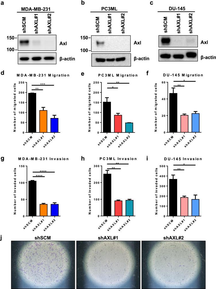 https://cdn.ncbi.nlm.nih.gov/pmc/blobs/0524/8179919/fd3fc3449df5/10585_2021_10093_Fig1_HTML.jpg