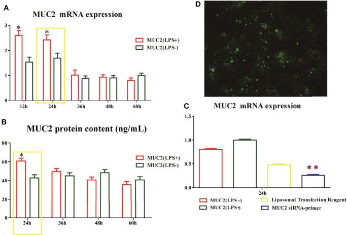 https://cdn.ncbi.nlm.nih.gov/pmc/blobs/0524/9226665/a5b8f830e71d/fimmu-13-916933-g003.jpg
