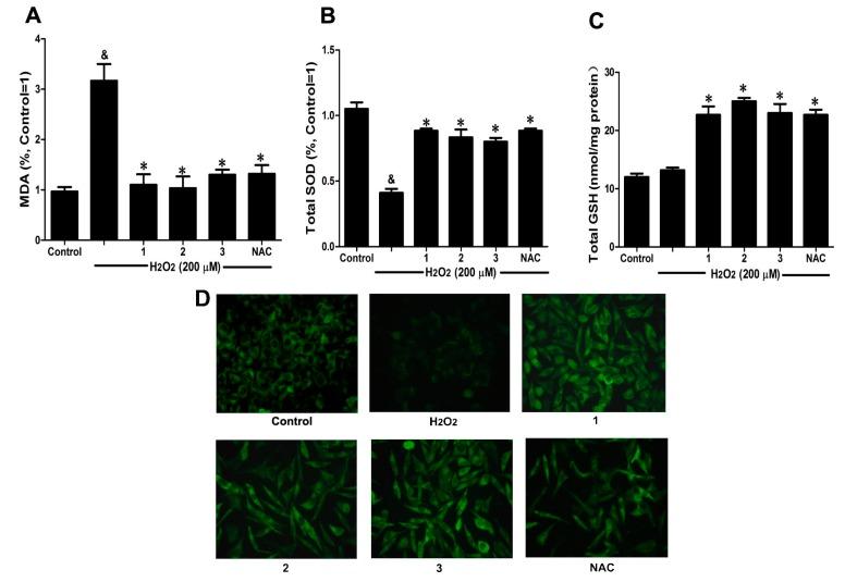 https://cdn.ncbi.nlm.nih.gov/pmc/blobs/0525/4307265/b4a22f6ef9a9/ijms-16-00628-g004.jpg