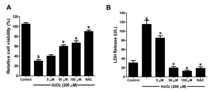 https://cdn.ncbi.nlm.nih.gov/pmc/blobs/0525/4307265/c6d97ca460e3/ijms-16-00628-g005.jpg