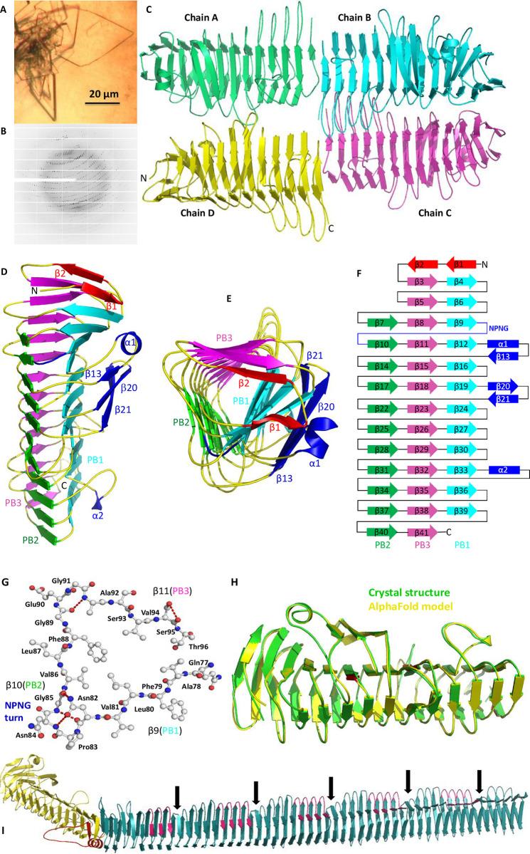 https://cdn.ncbi.nlm.nih.gov/pmc/blobs/0529/10284417/ca277ca67384/pone.0287100.g002.jpg