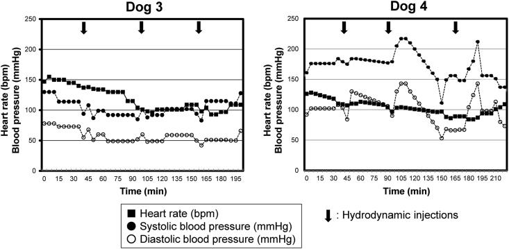 https://cdn.ncbi.nlm.nih.gov/pmc/blobs/052a/8441024/3caf56f3470b/gr5.jpg