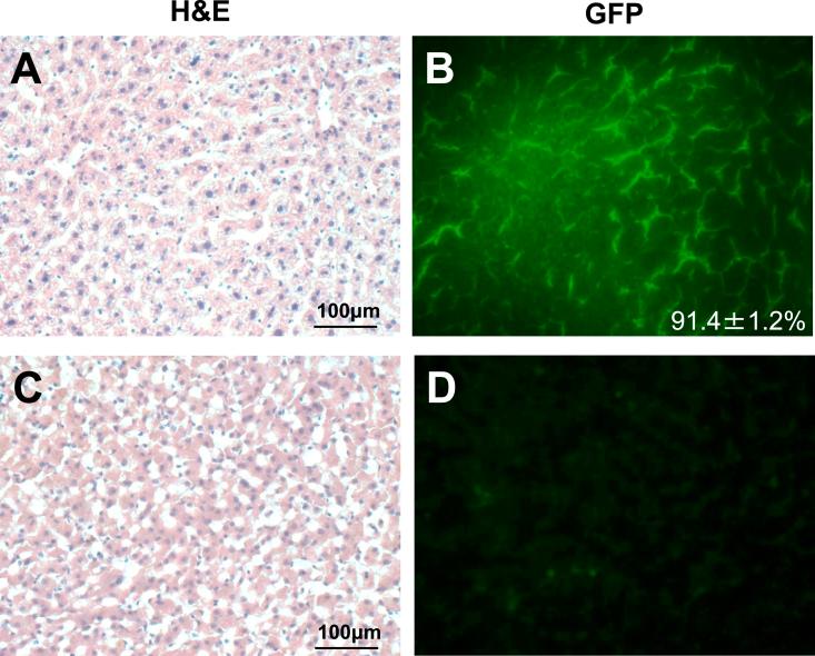 https://cdn.ncbi.nlm.nih.gov/pmc/blobs/052a/8441024/cd0eafa4e36d/gr8.jpg