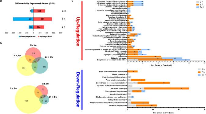 https://cdn.ncbi.nlm.nih.gov/pmc/blobs/052a/8545949/74e251f9d30d/42003_2021_2740_Fig2_HTML.jpg