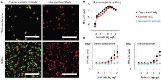 https://cdn.ncbi.nlm.nih.gov/pmc/blobs/052c/10427384/51b6bbd3fb7e/ADVS-10-2301340-g001.jpg