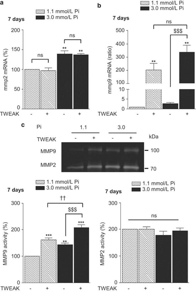 https://cdn.ncbi.nlm.nih.gov/pmc/blobs/052d/4973358/4d28f78332b4/cddis2016220f3.jpg