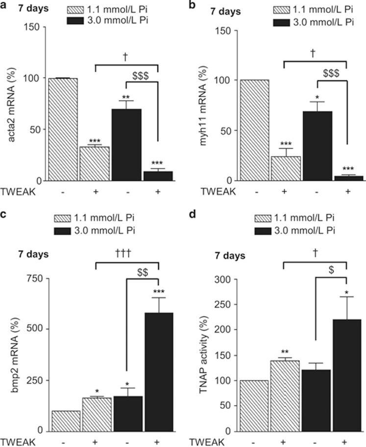 https://cdn.ncbi.nlm.nih.gov/pmc/blobs/052d/4973358/bd6a8d24f2f6/cddis2016220f2.jpg