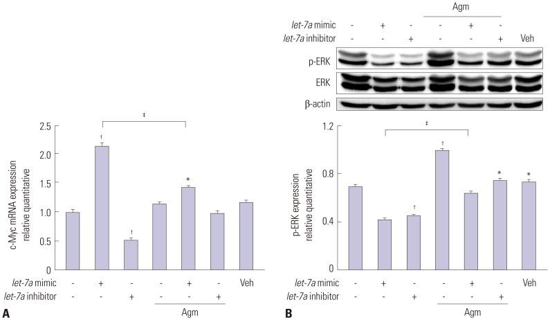 https://cdn.ncbi.nlm.nih.gov/pmc/blobs/052d/5011279/1abb08c3af5c/ymj-57-1461-g004.jpg