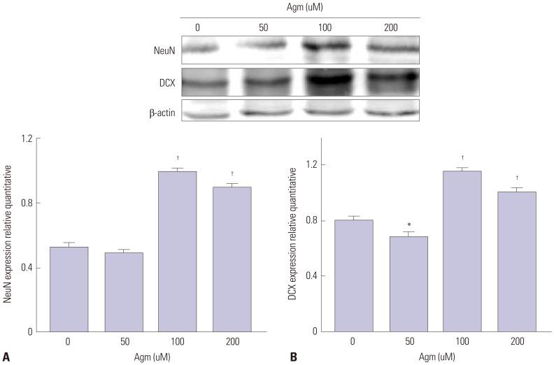 https://cdn.ncbi.nlm.nih.gov/pmc/blobs/052d/5011279/3106129f25ea/ymj-57-1461-g001.jpg