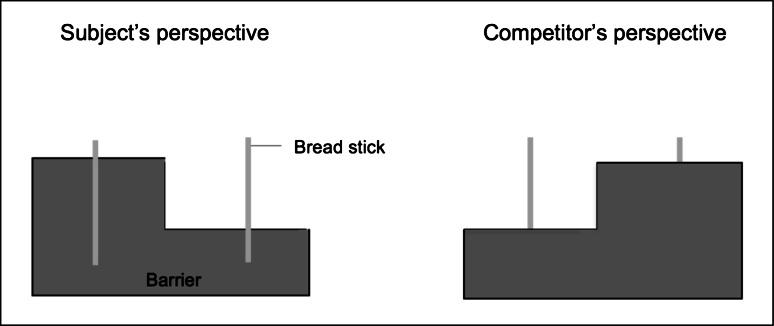 https://cdn.ncbi.nlm.nih.gov/pmc/blobs/052e/4824821/bdad89b75686/10071_2016_956_Fig4_HTML.jpg
