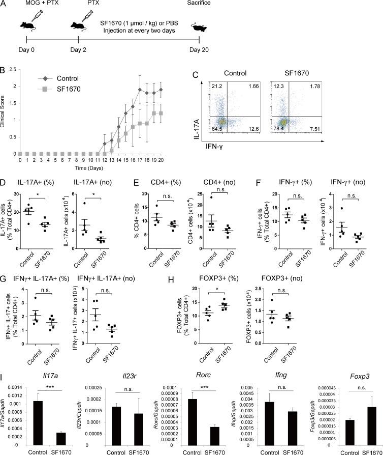 https://cdn.ncbi.nlm.nih.gov/pmc/blobs/0530/5679178/172d9b163de3/JEM_20170523_Fig8.jpg