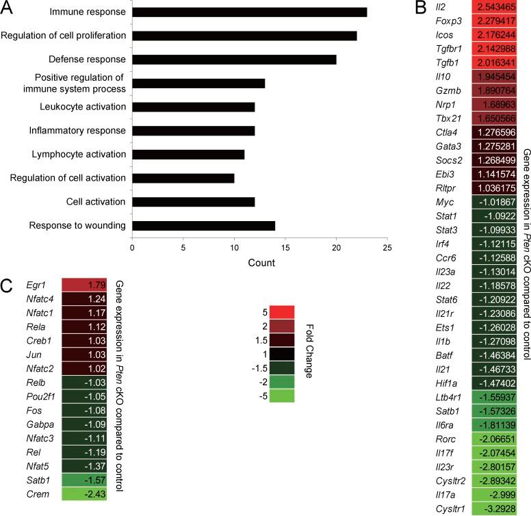 https://cdn.ncbi.nlm.nih.gov/pmc/blobs/0530/5679178/4536c972137a/JEM_20170523_Fig6.jpg